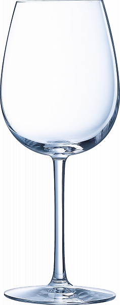 Oenologue Expert Stemmed Glass (set of 6 wine glasses), 0.45 л